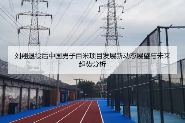 刘翔退役后中国男子百米项目发展新动态展望与未来趋势分析